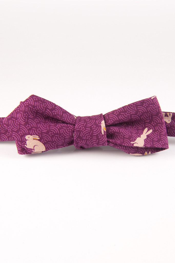 Honey Bunny Fandango Self Tie Bow Tie