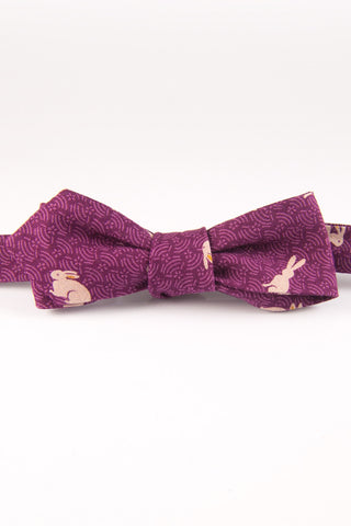 Honey Bunny Fandango Self Tie Bow Tie