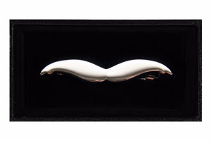 Silver Stash Tie Clip